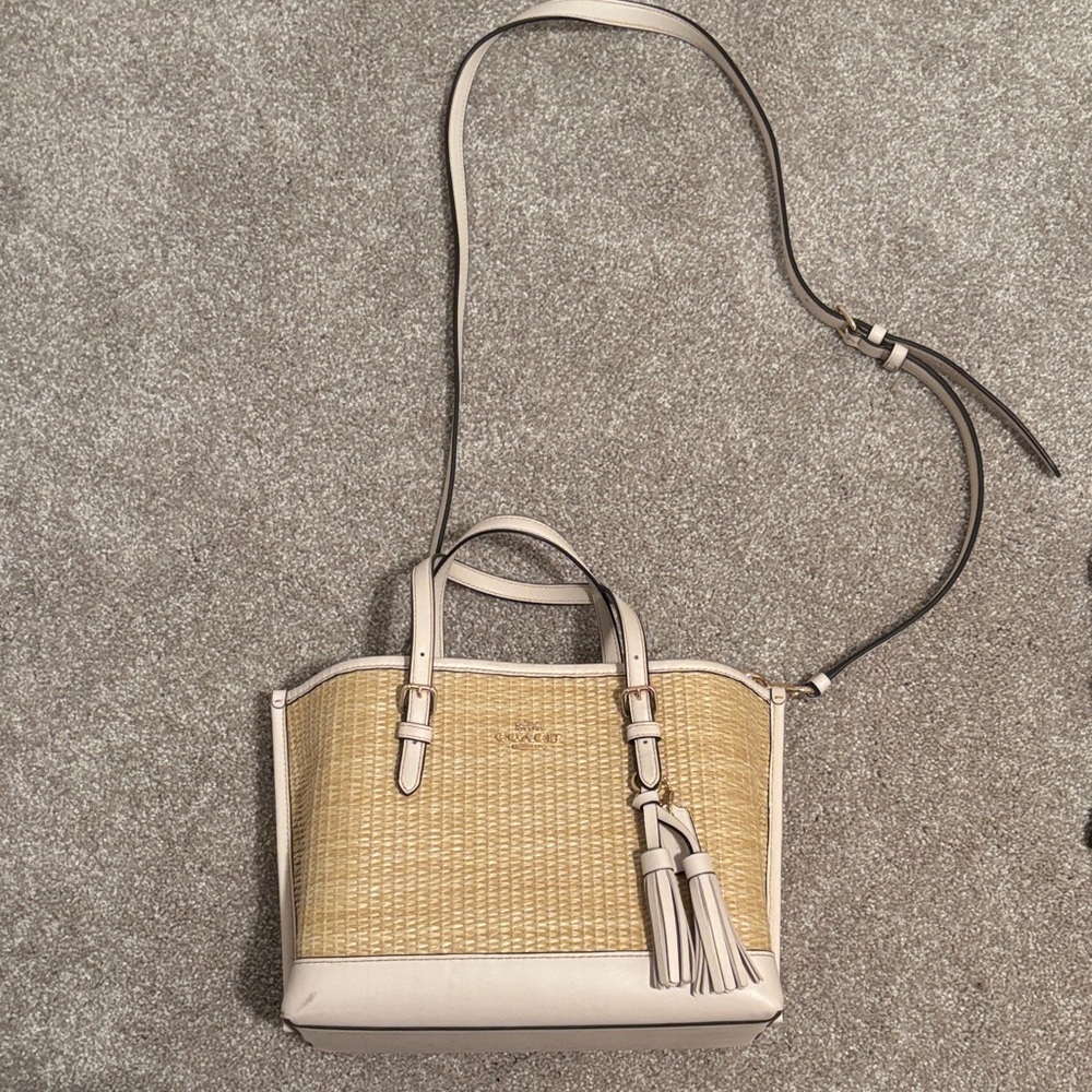 Coach Mollie Tote Bag 25 In Straw